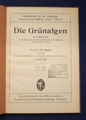 Migula Die Grünalgen Ein Hilfsbuch für Anfänger illustriert, 8 Tafeln um 1926 js