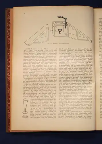 Migula Die Grünalgen Ein Hilfsbuch für Anfänger illustriert, 8 Tafeln um 1926 js