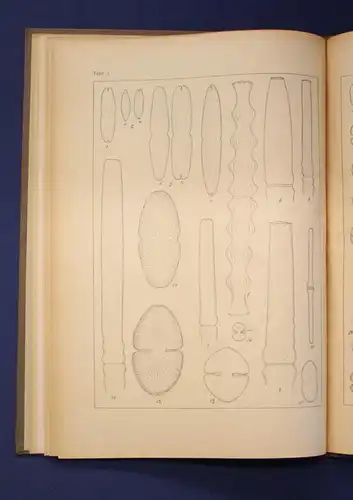 Migula Die Desmidiazeen um 1924, 7 Tafeln Ichthyologie, Gewässer, Meerestiere js