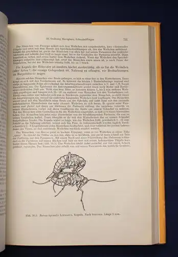 Kaestner Lehrbuch der speziellen Zoologie 1973 Band 1: Wirbellose 3. Teil js