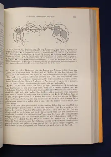 Kaestner Lehrbuch der speziellen Zoologie 1973 Band 1: Wirbellose 3. Teil js