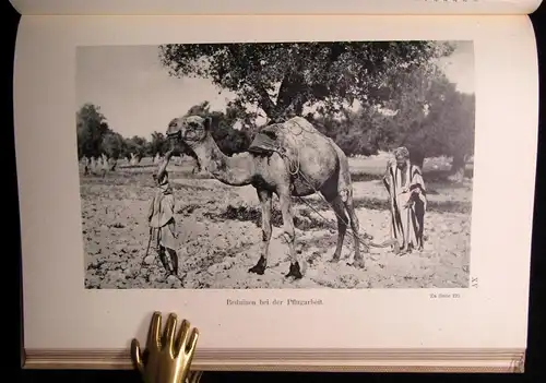 Schoenfel Die Halbinsel des Sinai in ihrer Bedeutung nach Erdkunde 1907