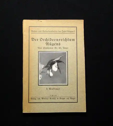 Beyer Der Orchideenreichtum Rügens 1928 Botanik Flora Pflanze Natur