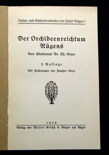 Beyer Der Orchideenreichtum Rügens 1928 Botanik Flora Pflanze Natur