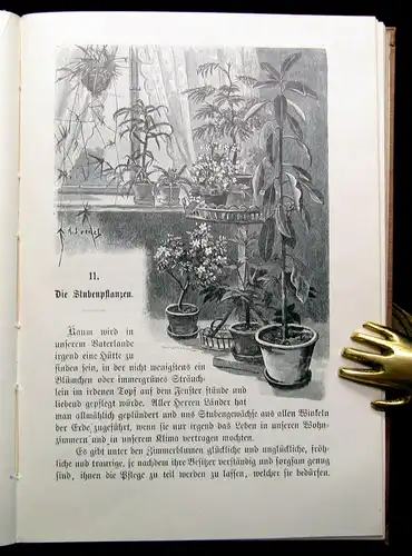 Wagner Entdeckungsreisen in der Wohnstube 1905 Belletristik Ratgeber