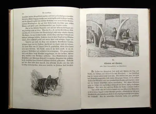 Wagner Entdeckungsreisen in der Wohnstube 1905 Belletristik Ratgeber