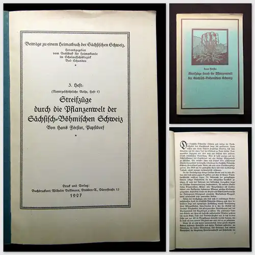 Förster Streifzüge durch die Pflanzenwelt der sächs.-böhm. Schweiz 1927 Botanik