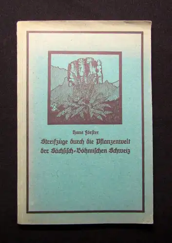 Förster Streifzüge durch die Pflanzenwelt der sächs.-böhm. Schweiz 1927 Botanik