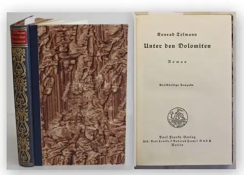 Telmann Unter den Dolomiten um 1925 Roman Klassiker dekorativer Ausgabe Einband