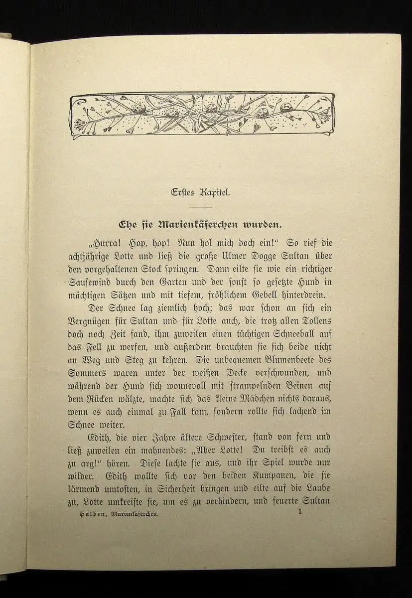 Halden Marienkäferchen eine Erzählung für jüngere Mädchen um 1920