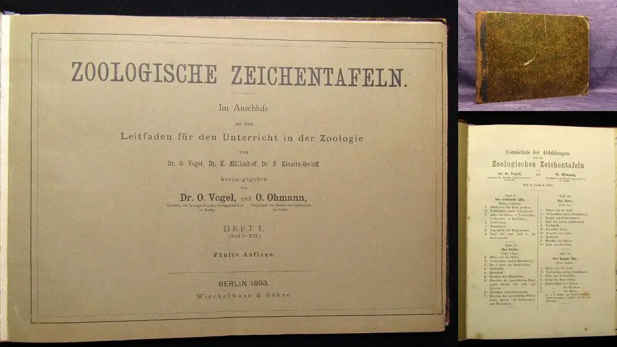 Vogel,Ohmann Zoologische Zeichentafeln 3 Hefte komplett 1892-93 54 Tafeln gesamt