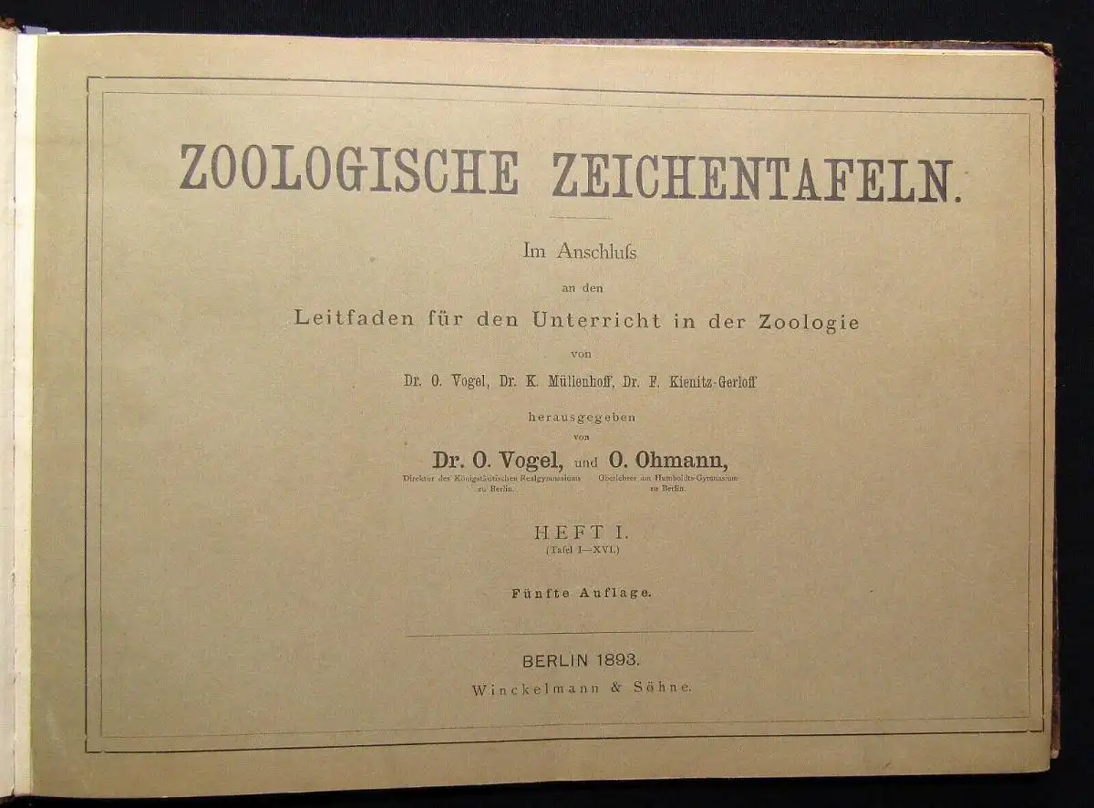 Vogel,Ohmann Zoologische Zeichentafeln 3 Hefte komplett 1892-93 54 Tafeln gesamt