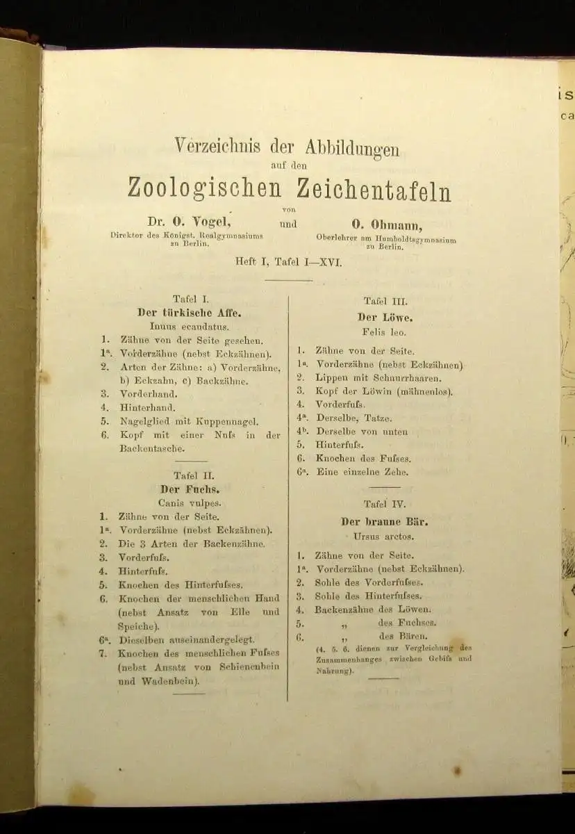 Vogel,Ohmann Zoologische Zeichentafeln 3 Hefte komplett 1892-93 54 Tafeln gesamt