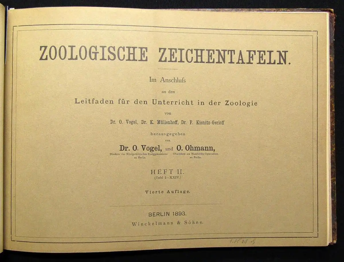Vogel,Ohmann Zoologische Zeichentafeln 3 Hefte komplett 1892-93 54 Tafeln gesamt