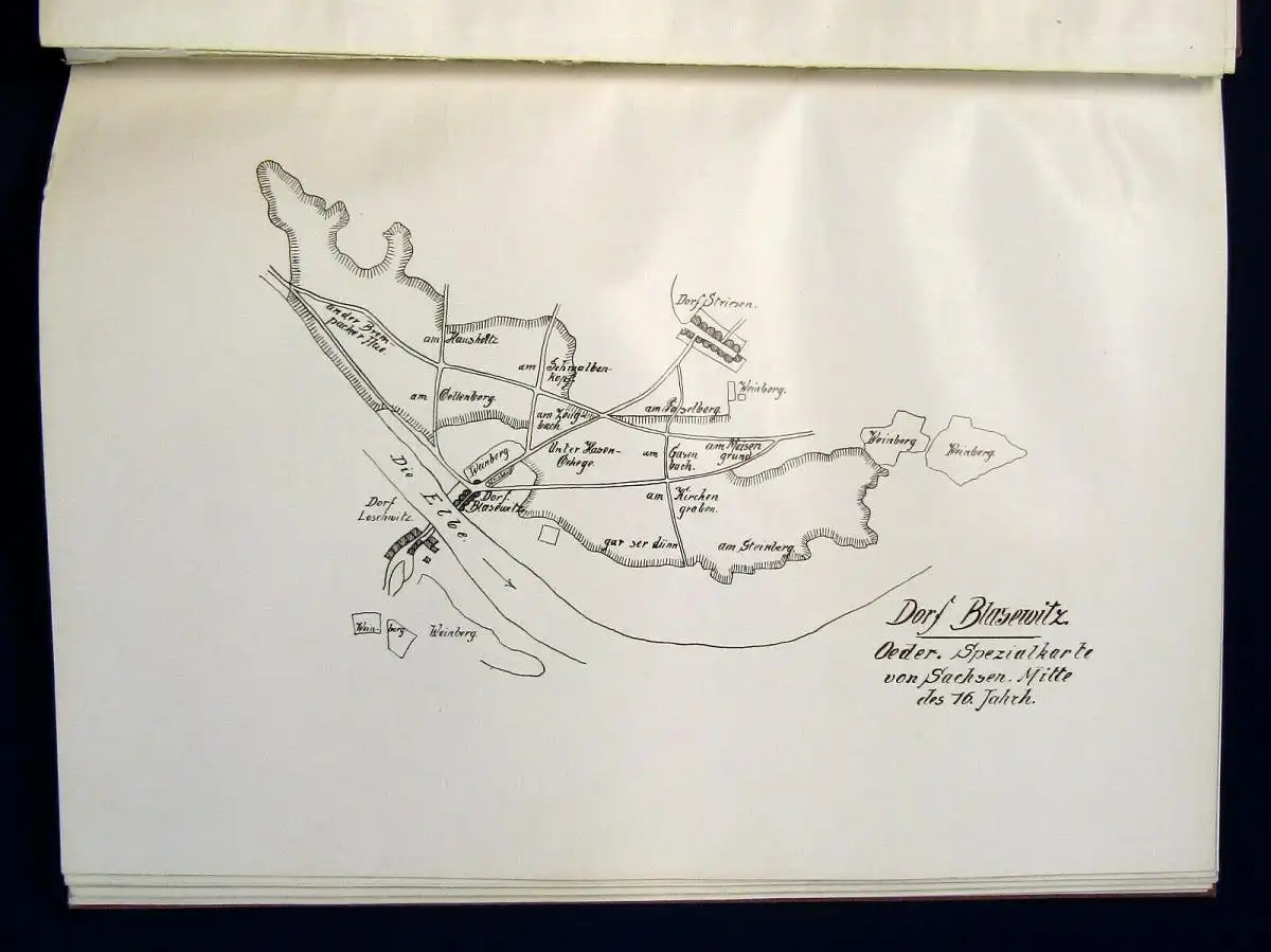Gruner Blasewitz Vergangenheit und Entwicklung 1905 Ortskunde Landeskunde mb
