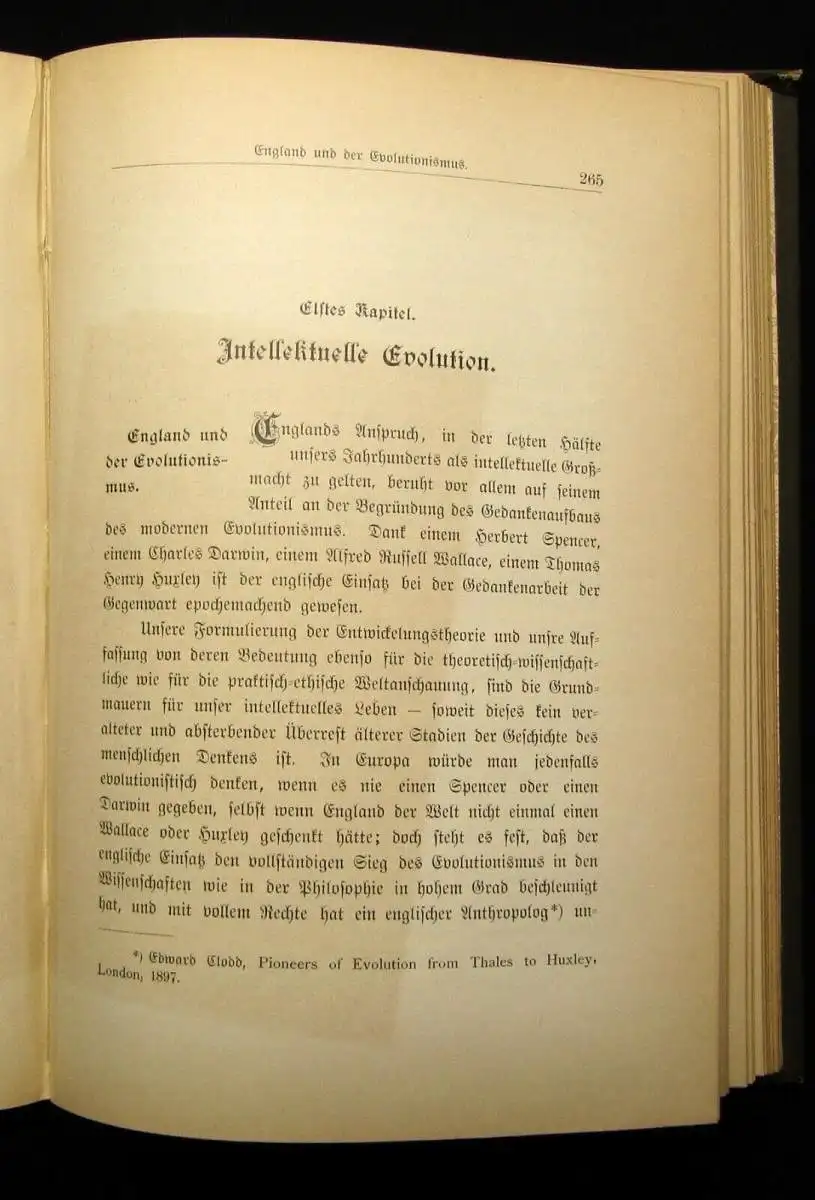 Steffen England als Weltmacht und Kulturpalast 1899 Politik Gesellschaft