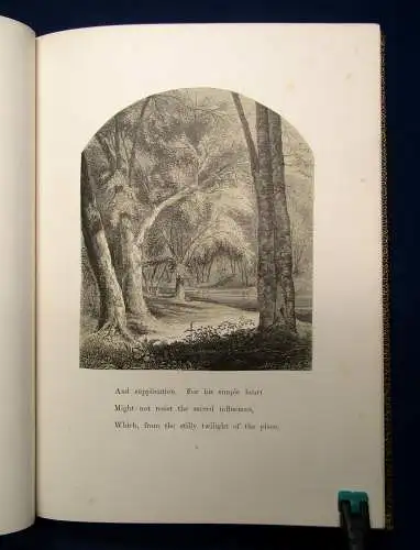 Bryant, William Cullen A Forest Hymn. o.J. (1860) EA Belletristik Klassiker mb