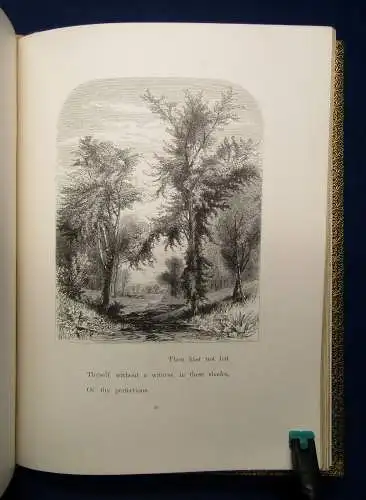 Bryant, William Cullen A Forest Hymn. o.J. (1860) EA Belletristik Klassiker mb