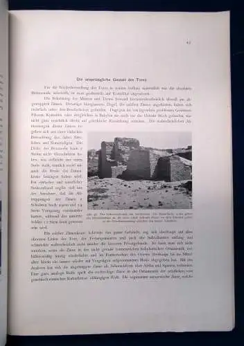 Koldewey Das Ischtar-Tor in Babylon 1918 Geschichte Archäologie Ausgrabung sf