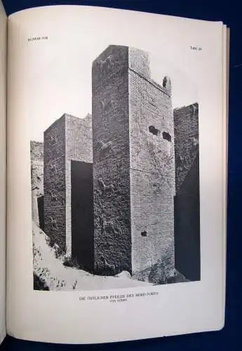 Koldewey Das Ischtar-Tor in Babylon 1918 Geschichte Archäologie Ausgrabung sf