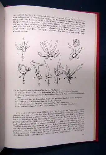 Beiträge zur Sukkulentenkunde und -pflege. 6 Jahrgänge in 1 Bd 1938-1943 sf