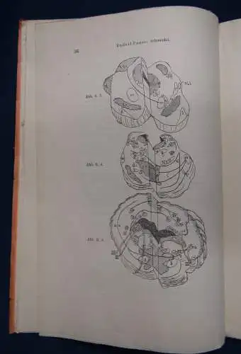 Knapp/ Körner Zeitschrift für Ohrenheilkunde 41. Bd (1 & 4 Heft )1902 Medizin sf