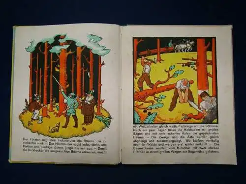 Thelen Das Holzdorf um 1930 Sütterlin Bilderbuch Kinderbuch Erzählungen  js