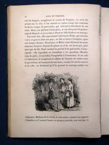 Pierre Paul Et Virginie 1845 100 Vignetten bei Bertall Liebesgeschichte js