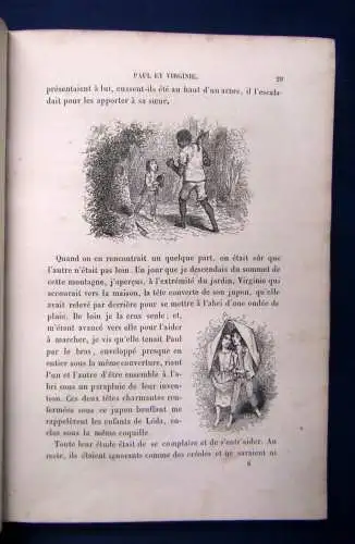 Pierre Paul Et Virginie 1845 100 Vignetten bei Bertall Liebesgeschichte js