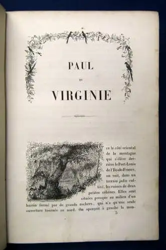 Pierre Paul Et Virginie 1845 100 Vignetten bei Bertall Liebesgeschichte js