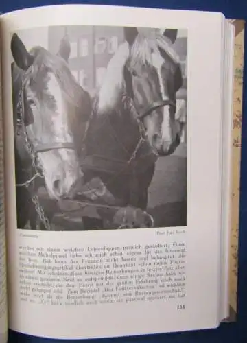 Der Satrap Blätter für Freunde der Lichtbildkunst 1932 selten 8.Jg. Heft 2-12 js