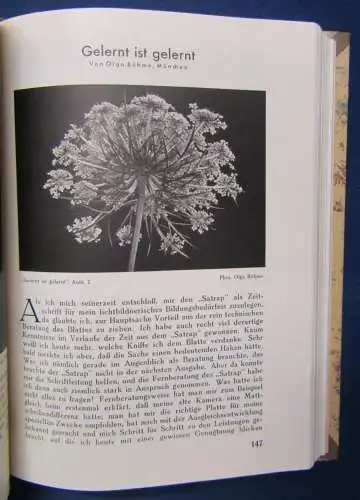 Der Satrap Blätter für Freunde der Lichtbildkunst 1932 selten 8.Jg. Heft 2-12 js