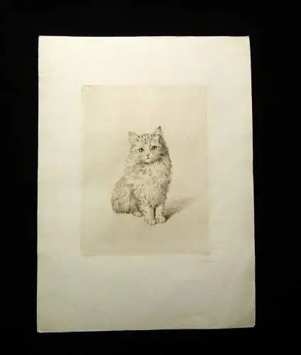 Wilhelm Pech Radierung 1.Hälfte 20.Jh. süsses Kätzchen, Katze, in Blei signiert