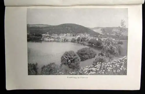 Kurverein Titisee; Titisee und seine Umgebung Ein Führer für Kurgäste 1928