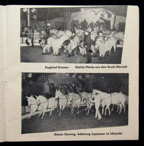 Or. Prospekt/ Programmheft Zirkus Busch 1966 Unterhaltung Künstler Show