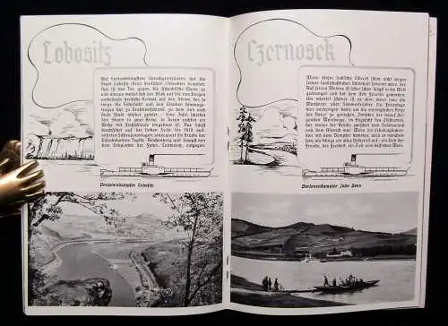 Die weiße flotte des Elbe- Stromes erwartet sie um 1940 Fahrgastschifffahrt