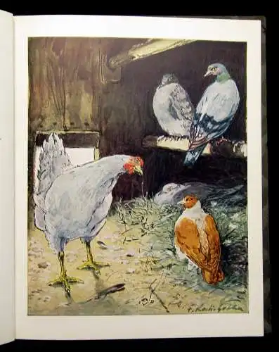 Speisebecher Das Hühnchen" Sabinchen" um 1930 Erzählungen Kinderliteratur