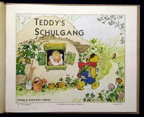 Baumgarten Teddy`s Schulgang um 1945 Erzählungen Geschichten Kinderliteratur