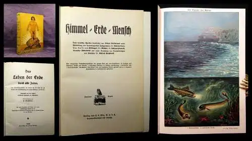 Hoffmann Himmel- Erde- Mensch 2.Bd. apart um 1914 Entwicklung Geschichte