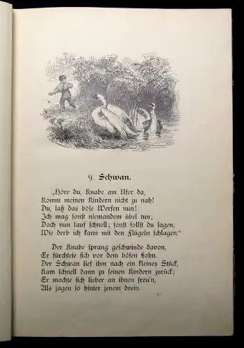 Hey Wilhelm Fünfzig Fabeln für Kinder  um 1890 Mit Holzschnitten nach Zeichungen