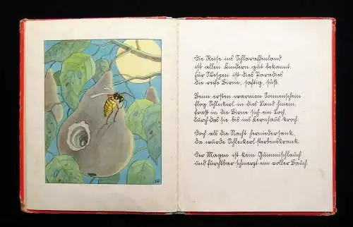 Steck, Josef Der Wurzelsepp Bilder von Hermann Blömer 1938 Kinderbuch