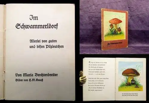 Im Schwammerldorf Allerlei von guten und bösen Pilzleutchen um 1930 Kinderbuch