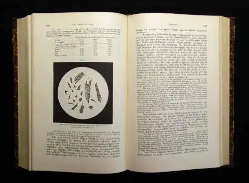 Eichhorst Handbuch der speciellen Pathologie und Therapie 4. Bd. apart 1897