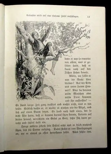 Campe Robinson Ein Lesebuch für Kinder 6 Voll u. 19 Textbildern von Zweigle 1910