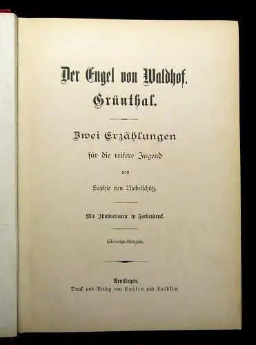 Niebelschütz Der Engel von Waldhof. Grünthal. Zwei Erzählungen um 1890