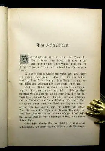 Rosegger Ausgewählte Schriften Volksleben in der Steiermark 1881 Einzelausgabe