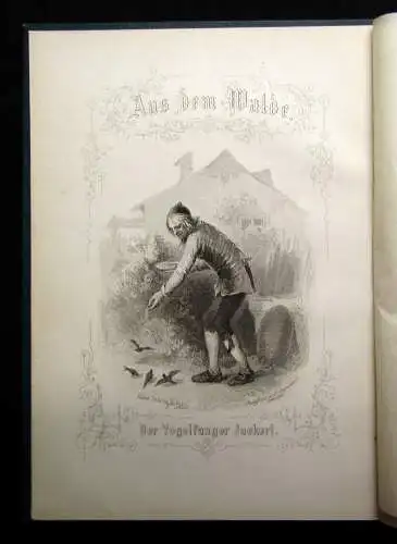 Rosegger aus dem Walde. ausgewählte Geschichten für die reifere Jugend um 1880