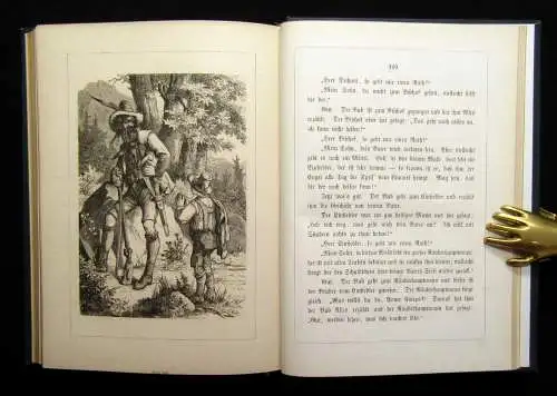 Rosegger aus dem Walde. ausgewählte Geschichten für die reifere Jugend um 1880