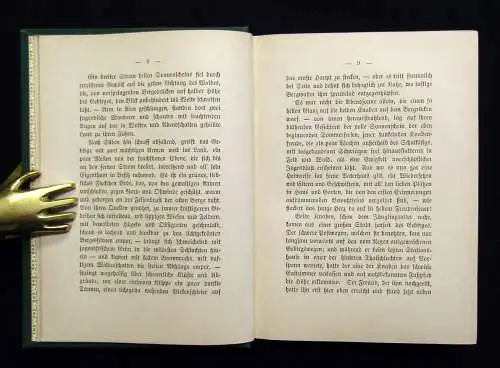 Petersen Die Irrlichter 1890 Belletristik Geschichten Erzählungen Literatur