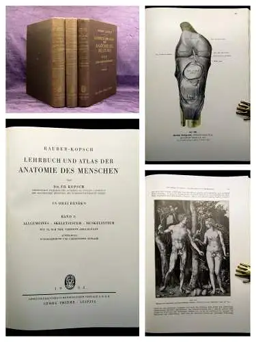 Rauber-Kopsch Lehrbuch und Atlas Anatomie des Menschen Bd. 1-3 komplett 1951-53